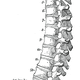 La columna (y causante) de nuestra altura. Wikimedia Commons